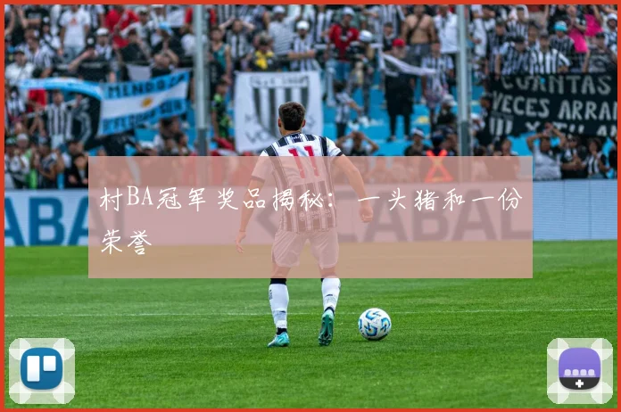 村BA冠军奖品揭秘:一头猪和一份荣誉