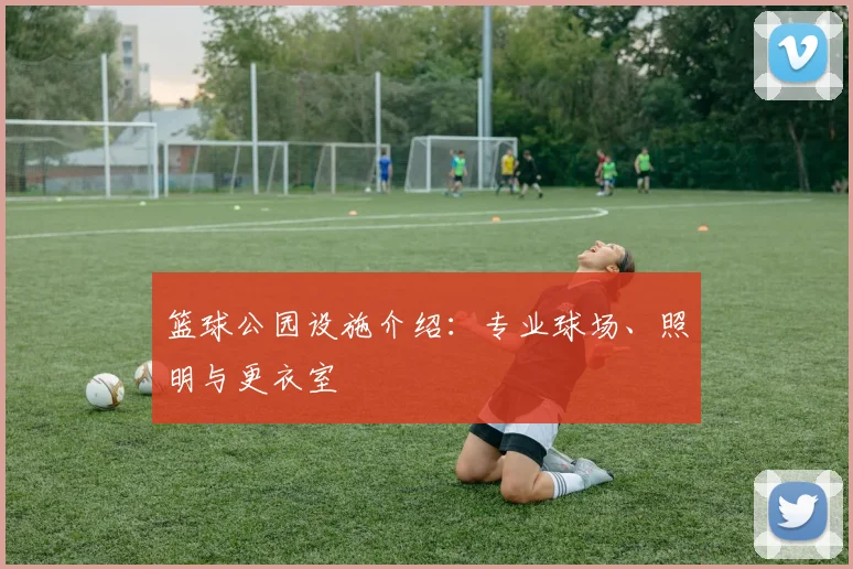 篮球公园设施介绍：专业球场、照明与更衣室