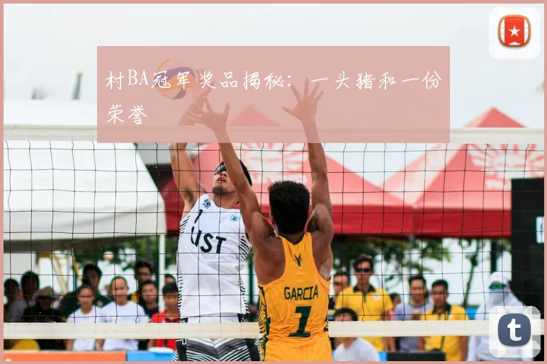村BA冠军奖品揭秘：一头猪和一份荣誉