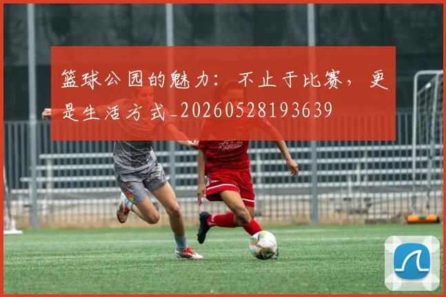 篮球公园的魅力：不止于比赛，更是生活方式_20260528193639