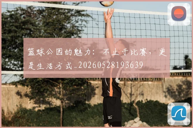 篮球公园的魅力:不止于比赛,更是生活方式_20260528193639